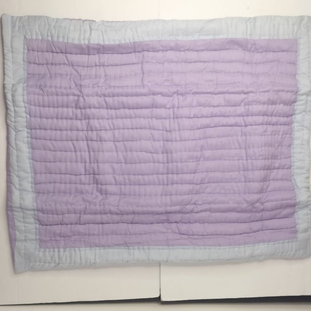 Pottery Barn Kids Quilted Sham  20" x 26" Isabelle Voile NIP
